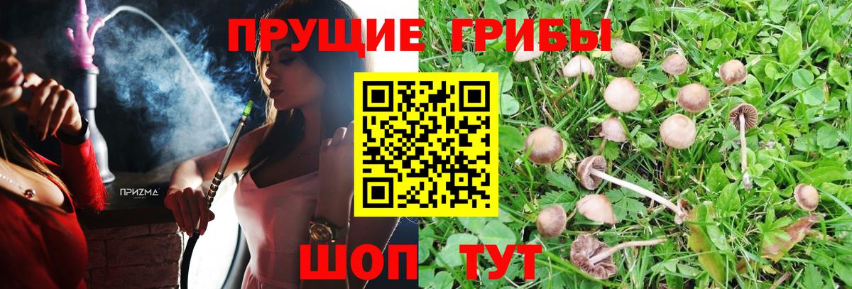 Лабинск  Галлюциногенные грибы Magic Shrooms  Вход с VPN 