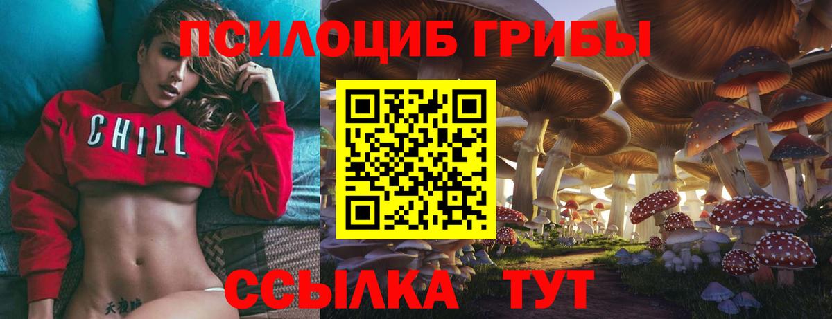 Псилоцибиновые грибы прущие грибы Лабинск